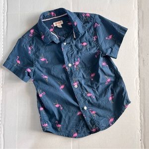 Cat & Jack • Short sleeved button down top